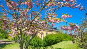 Un árbol con flores rosadas frente a un edificio de fachada amarilla.