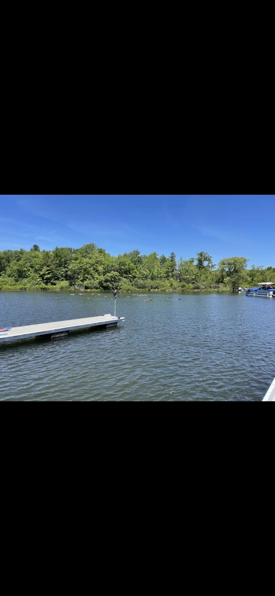 Imagem do perfil do anfitrião