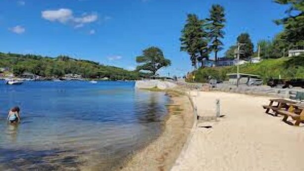 A beach with clear water, a sandy shore, and a few trees in the background. - Delightful Lake View Cabin in Alton Bay Now featuring Lake Access, AC/ TV/ WiFi (Alton)