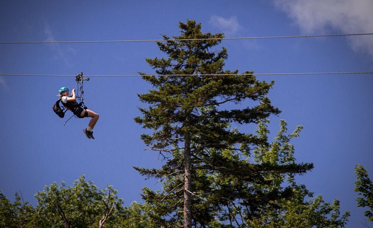 En person åker på en zipline genom ett skogsområde med höga träd och en klar, blå himmel.