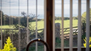 Vista a través de una ventana con marco de madera y barrotes de metal, que da a un campo verde y un muro de piedra.