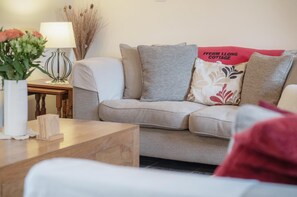 TV, fireplace, DVD player, books - Fferm-Llong Cottage (Ship Farm) - 2 Bedroom -Rhossili (Swansea)