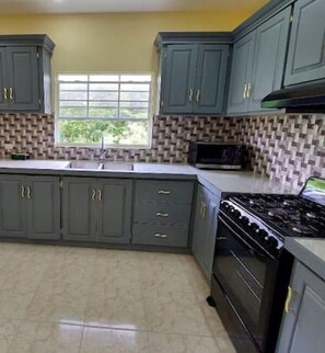 Fridge, microwave, oven, coffee/tea maker