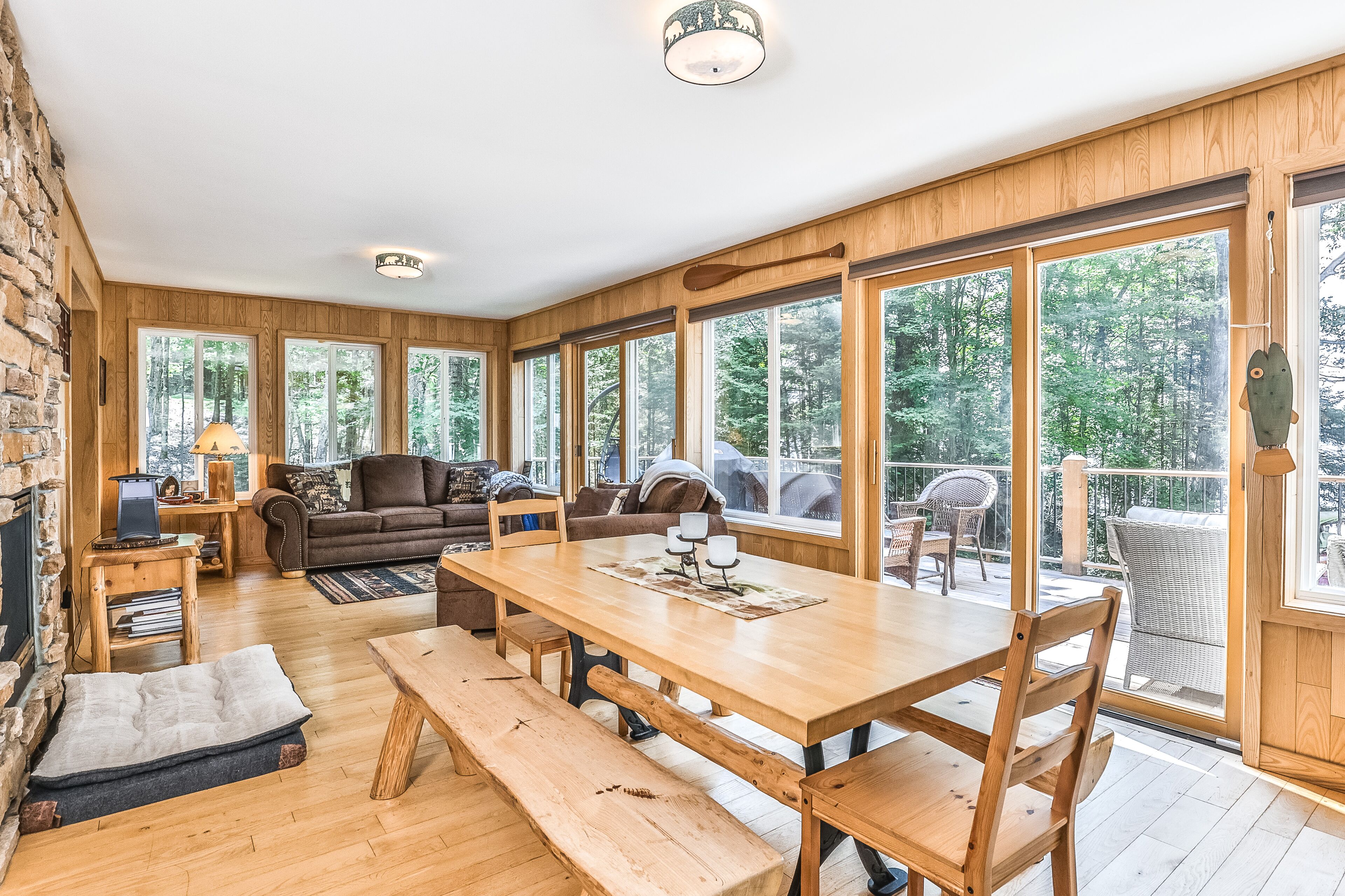 电视、壁炉、DVD 播放器、乒乓球