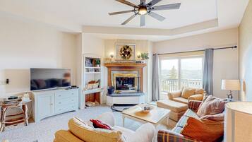 TV, fireplace, video games, DVD player