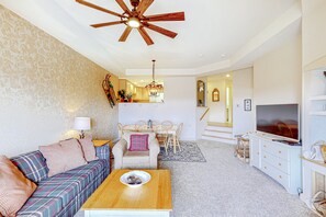 TV, fireplace, video games, DVD player