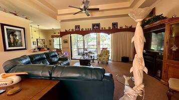 Smart TV, chimenea y libros