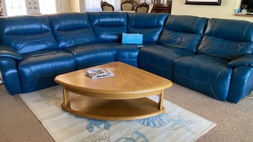 Smart TV, chimenea y libros