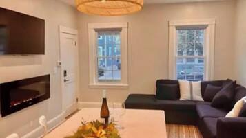 Smart TV, fireplace, books