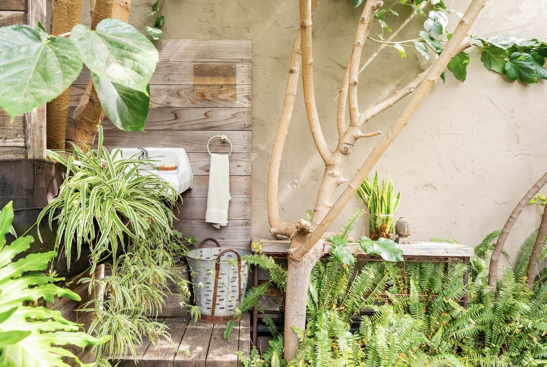 Terrein van de accommodatie