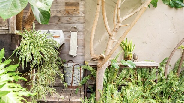 Un espacio al aire libre rústico con un banco de madera, una mesita y diversas plantas, incluyendo helechos y una planta a rayas.