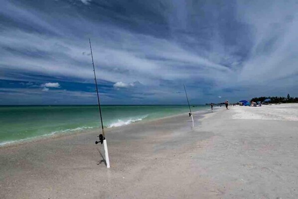 A beach with fishing rods set up on the sand, a clear sky, and the ocean in the background.