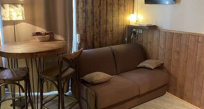 Appartement aux pieds des pistes