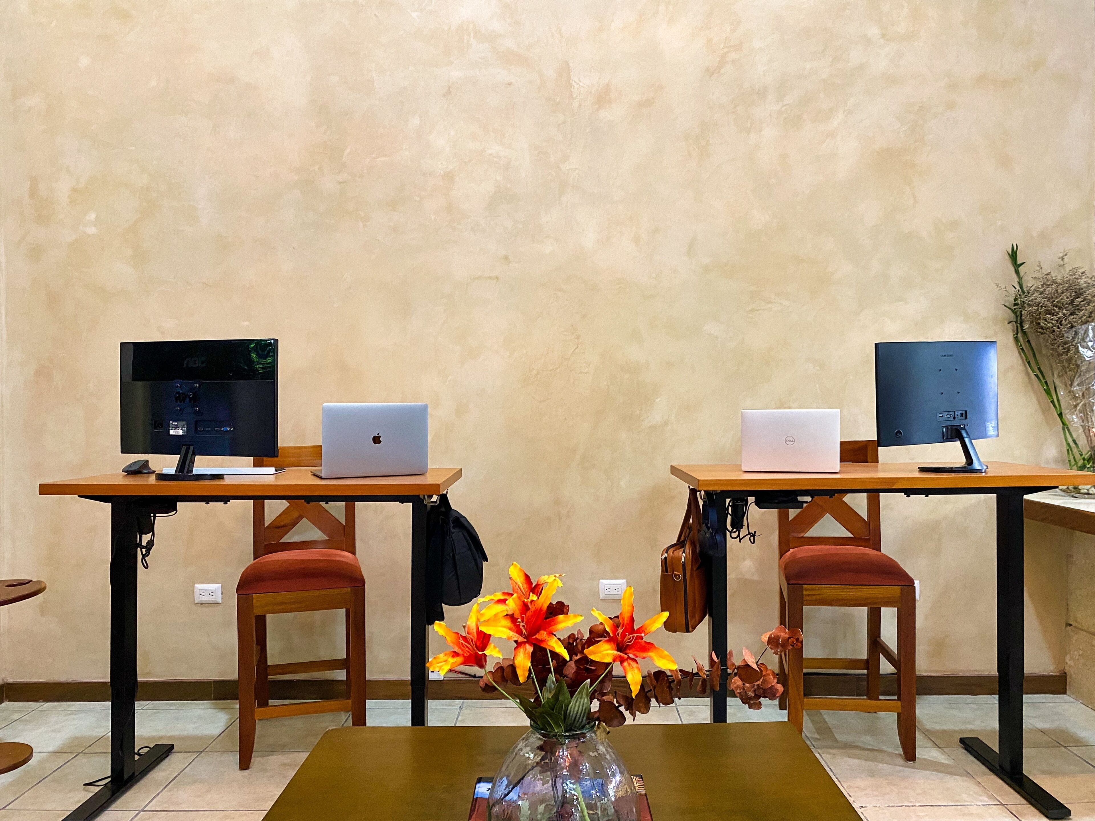 Photo - Humant Coliving - Cancún