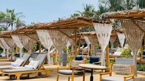 Ein Strand-Loungesbereich mit Liegestühlen und Tischen unter reetgedeckten Sonnenschirmen, umgeben von Palmen.