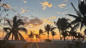 Sonnenuntergang mit Palmen und wolkenlosem Himmel.