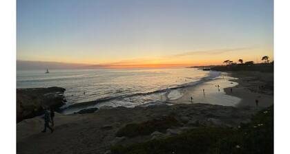 In the heart of the Redwoods/10 min from the beach