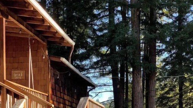 A wooden cabin with a staircase leading to a deck, surrounded by tall trees. - In the heart of the Redwoods/10 min from the beach (Felton)