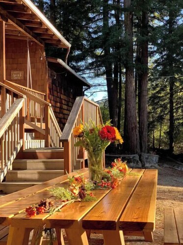 In the heart of the Redwoods/10 min from the beach