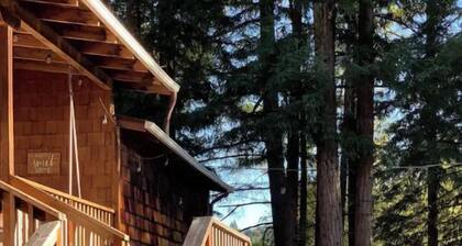 In the heart of the Redwoods/10 min from the beach