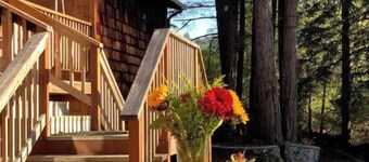 In the heart of the Redwoods/10 min from the beach