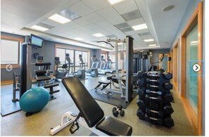 Fitness facility - Luxury 2 Bedroom Apartment in Heart of Reston Town Center (Reston)