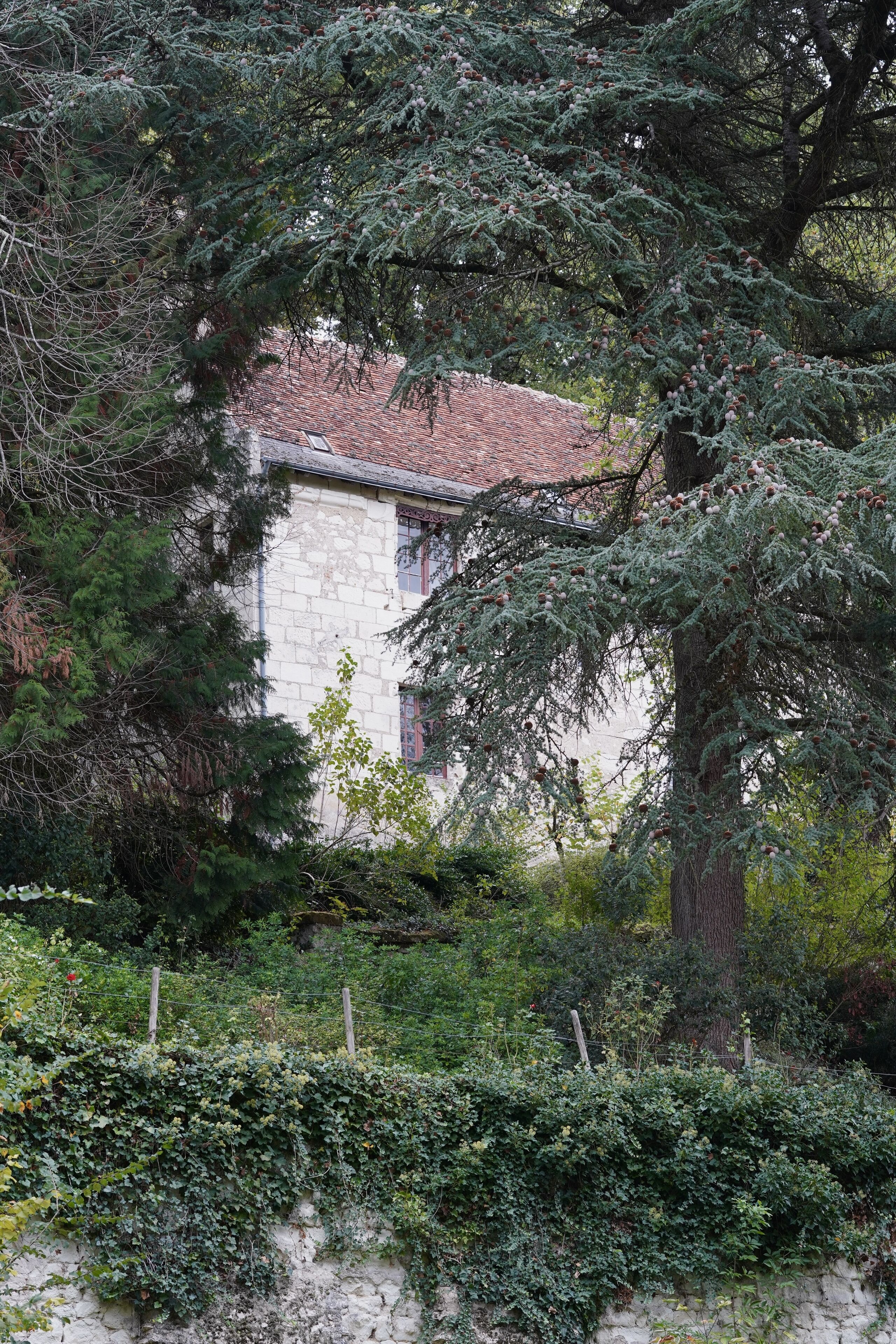 Ein Steinhaus mit Ziegeldach, umgeben von dichtem Grün und einer Steinmauer.