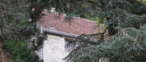 Ein Steinhaus mit Ziegeldach, umgeben von dichtem Grün und einer Steinmauer.