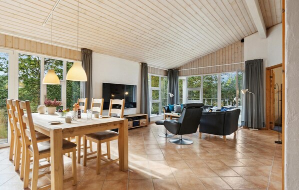 Smart-TV, Kamin