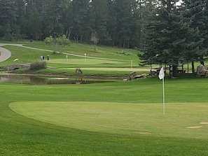 Golf