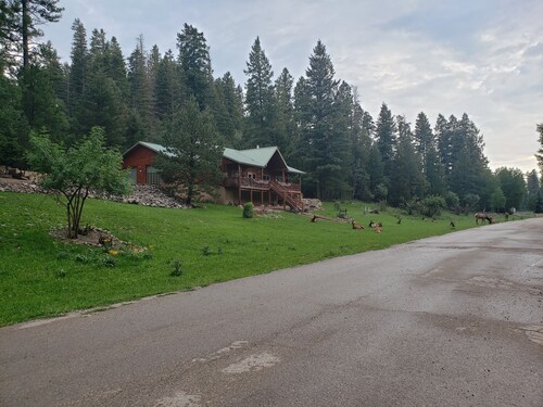 Family friendly! Cozy cabin in the Village of Cloudcroft