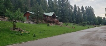 Family friendly! Cozy cabin in the Village of Cloudcroft
