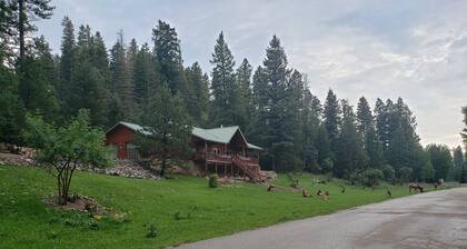 Family friendly! Cozy cabin in the Village of Cloudcroft