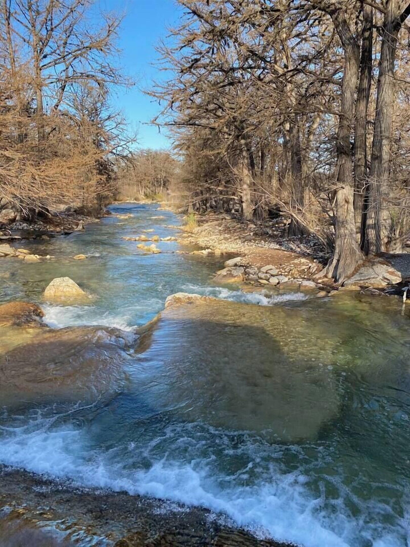 A clear river with rocks and trees on the banks.