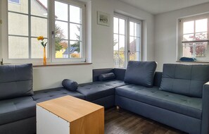 تلفزيون، مدفأة