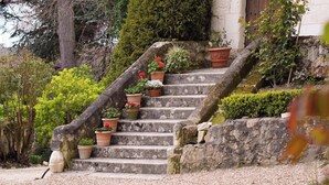 A stone staircase leading to a building with a wooden door, surrounded by potted plants and a gravel path. - Manoir de la Salle du Roc - romantic suite 30 M2 Joséphine, Near Chenonceau  (Montrichard Val de Cher)