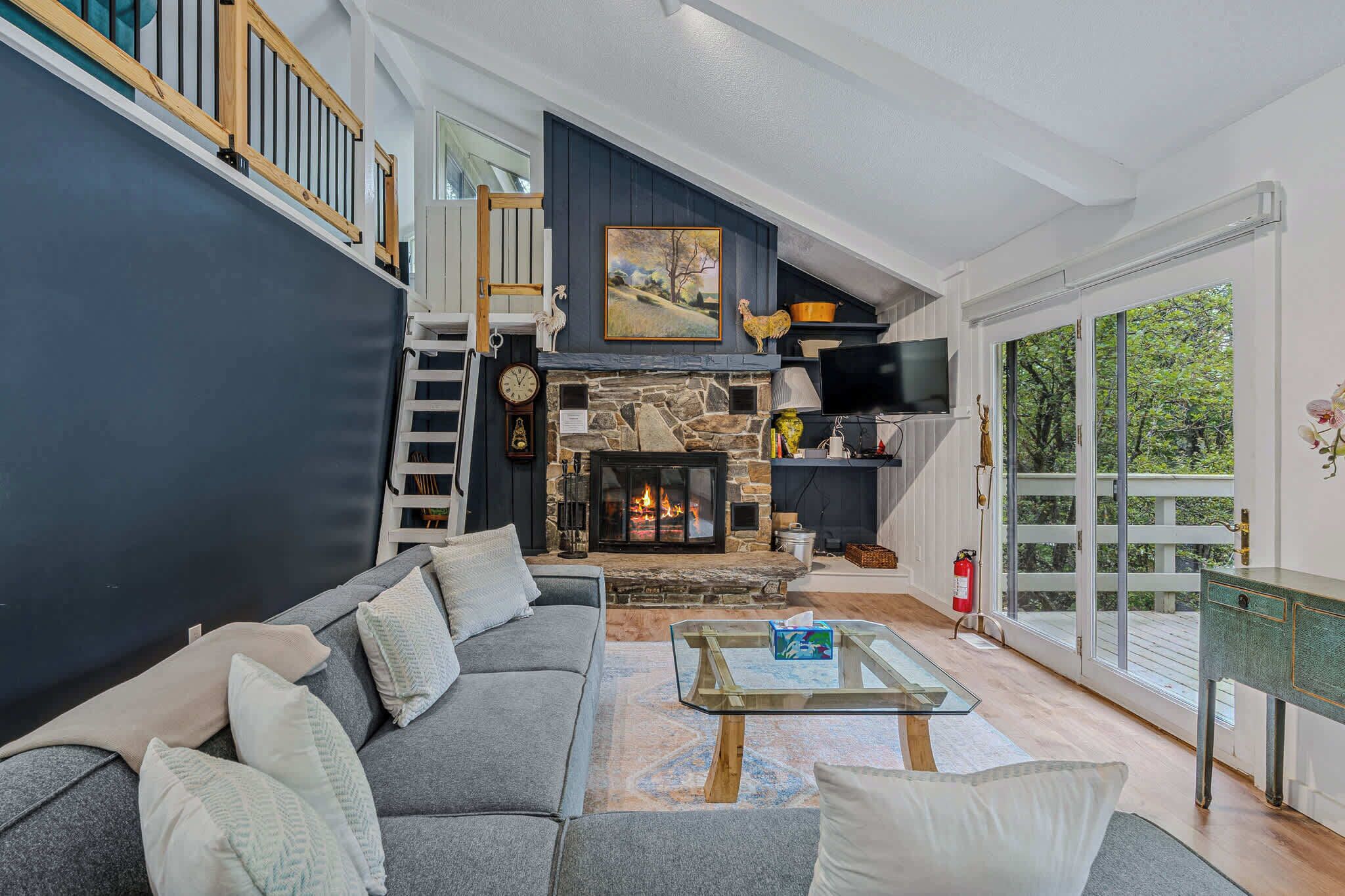 Fernseher, Kamin, DVD-Player, Arbeitsbereiche