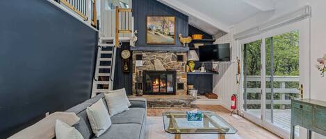 Télévision, cheminée, lecteur de DVD, espaces bureaux