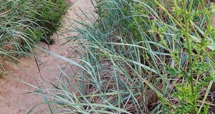 The Estuary Apartment - 2 Minutes From Beach