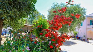Unclassified image, 4 of 31, button - Frangiskos Tessera in Pelekito Corfu (Corfu)