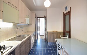Fridge, stovetop, dishwasher