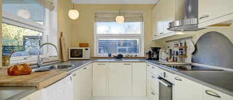 Fridge, oven, stovetop, dishwasher
