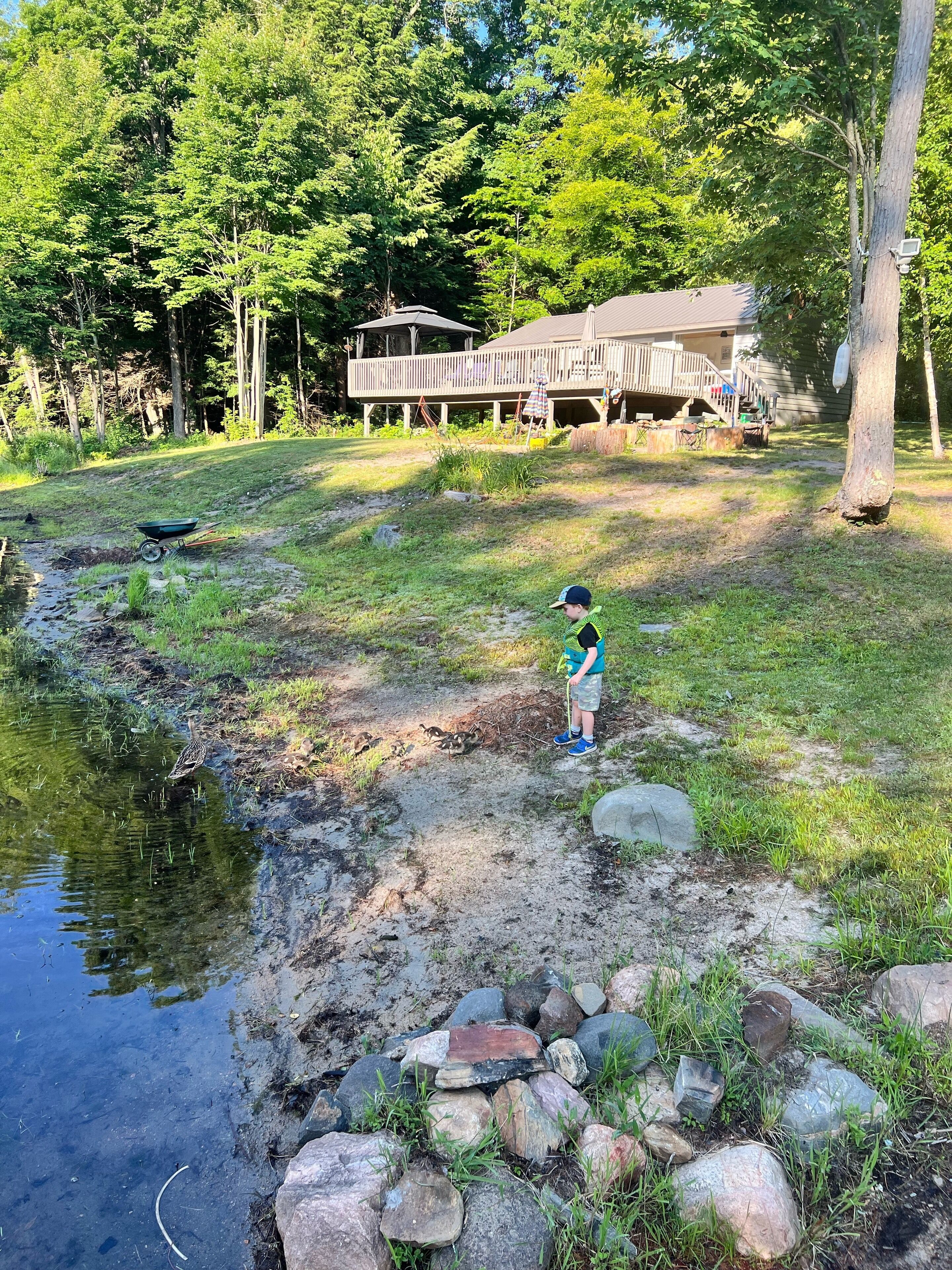 Jardines del alojamiento