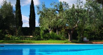 Willow apt With Shared Pool