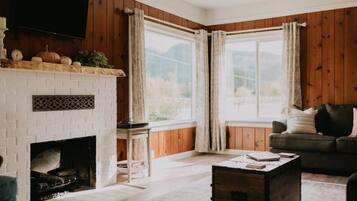 Smart TV, lareira, livros