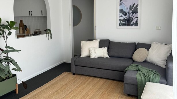 Un salon moderne avec un canapé gris, une suspension noire et une plante décorative accrochée au mur.