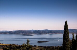 A panoramic view of a lake with distant mountains, a clear sky, and a tall cypress tree in the foreground. - Thyme apt With Shared Pool (Castiglione del Lago)