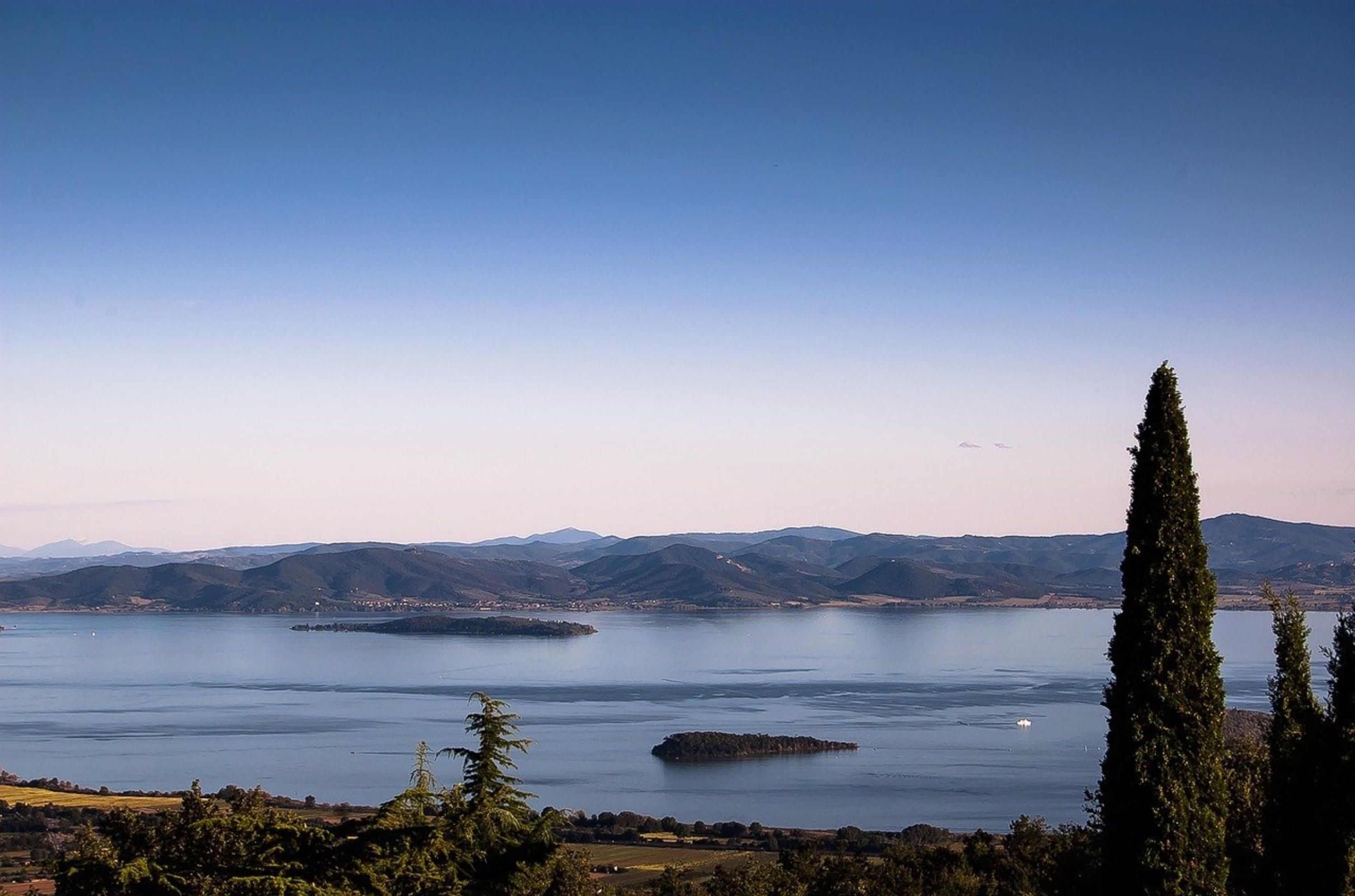 A panoramic view of a lake with distant mountains, a clear sky, and a tall cypress tree in the foreground.
