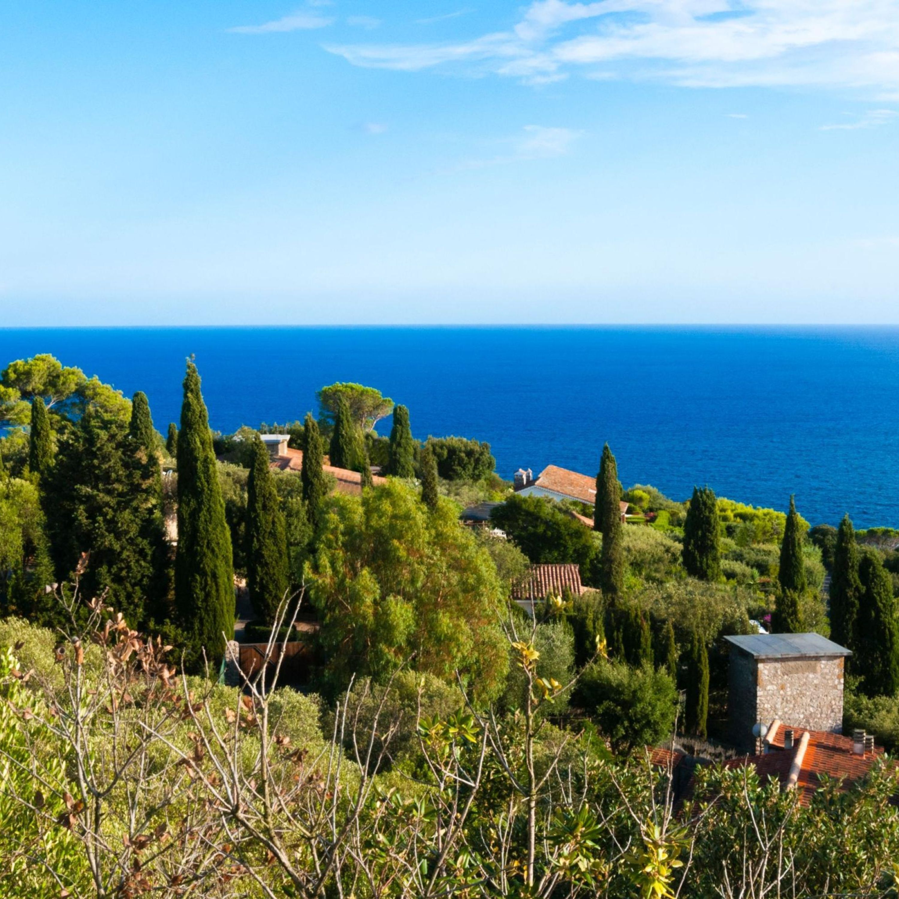 Un paisaje costero con vista al mar, vegetación densa y edificios tradicionales.