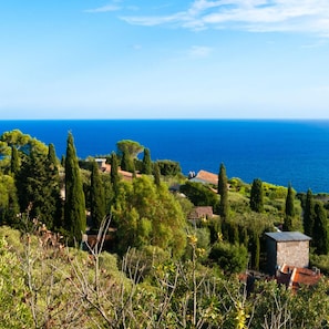 Un paisaje costero con vista al mar, vegetación densa y edificios tradicionales.